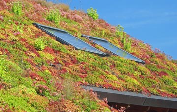 Ogle living roof systems