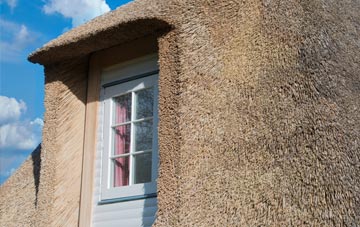 Ogle thatch roof disadvantages