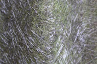 Ogle fibreglass roof work