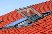 Ogle roof window